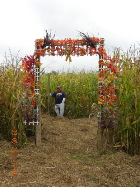 Our first maze