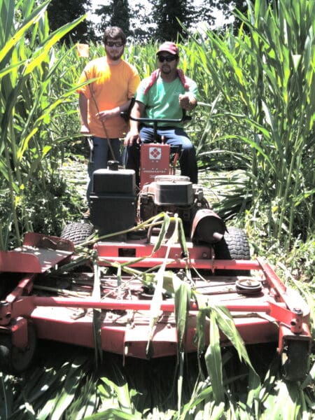 Cutting the Corn Maze