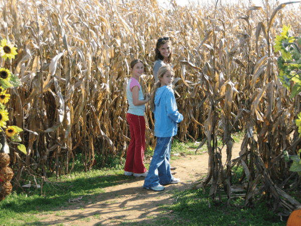 Corn Maze challenge